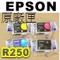 EPSON R250/RX430/RX530 tX(1)()