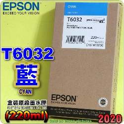 EPSON T6032 Ŧ-tX(220ml)-(2020~01)(EPSON STYLUS PRO 7800/7880/9800/9880)(C CYAN)