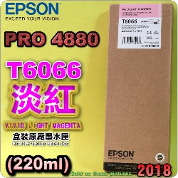 EPSON T6066 原廠墨水匣【淡鮮洋紅色】(220ml)-盒裝(2018年之間)(EPSON STYLUS PRO 4880)(淡靚紅色/LIGHT VIVID MAGENTA)